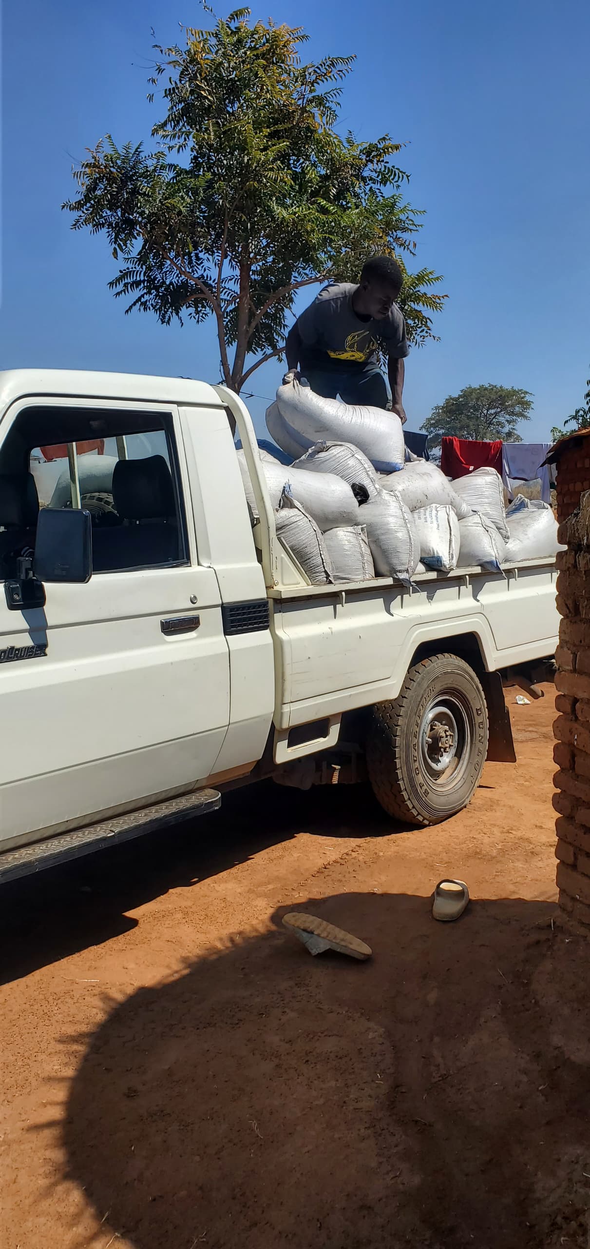 DMT Acres Organic Fertilizer